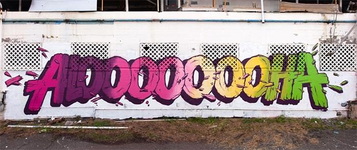 Aloooooooha, 2012, Hawaii