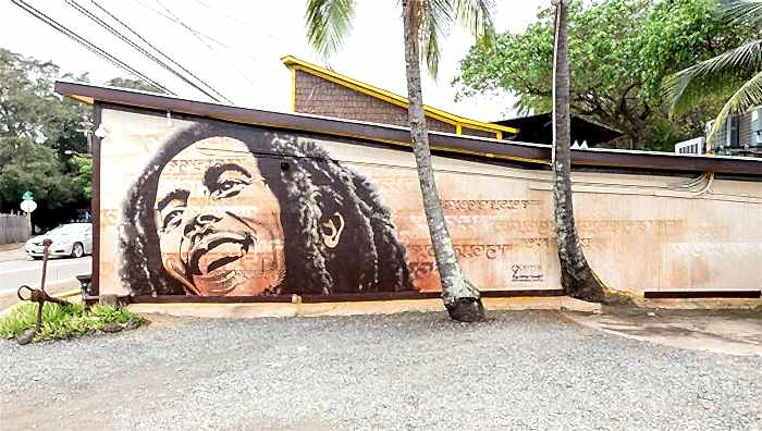 Axis on the Friends of the Library building, 2014, Hawaii