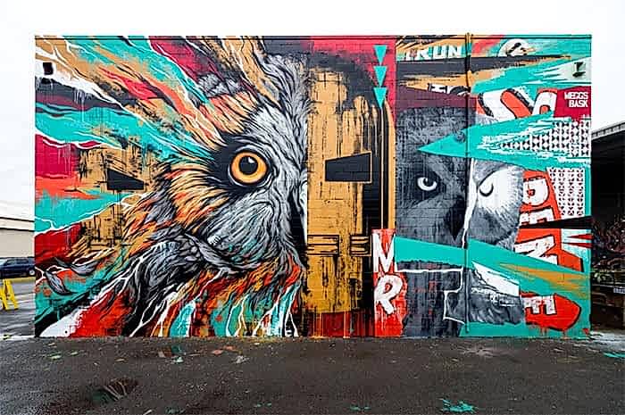 Iron Man and owls, 2014, Hawaii