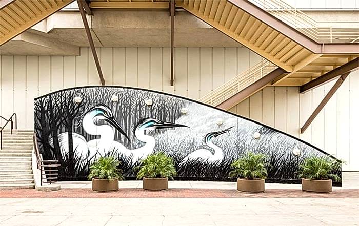 Jeff McMillan, 2015, Long Beach, California