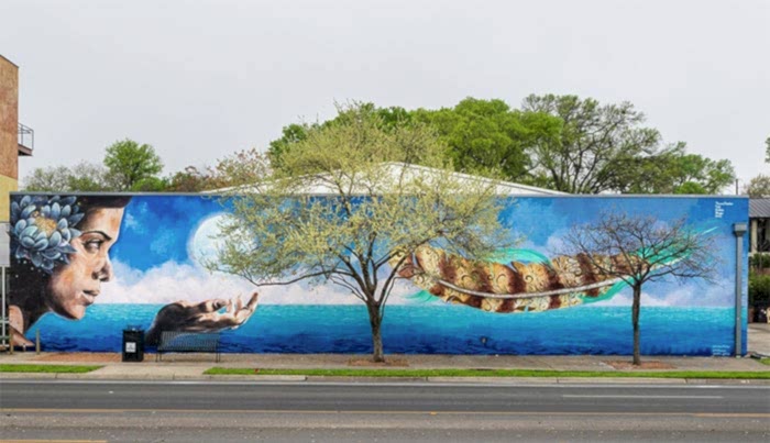 Megalomedia, Austin, Texas