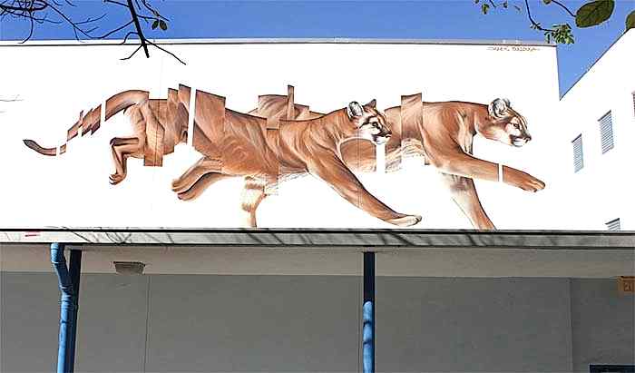 Kendine has tekniği olan James Bullough'tan 30 duvar resmi