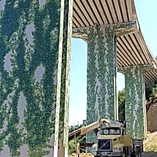 Park / Bahçe / Yaşam Alanı Duvar Resmi Boyama Örnek