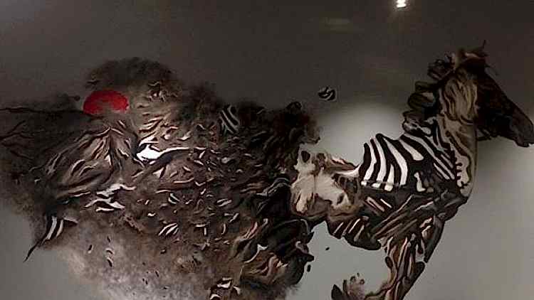 İŞYERİ ÇALIŞMAMIZ ZEBRA